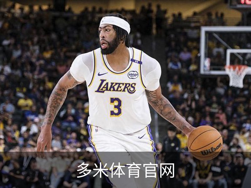 多米体育官网概况