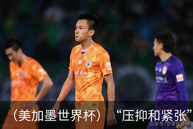 （美加墨世界杯）“压抑和紧张”中的伊朗队首秀